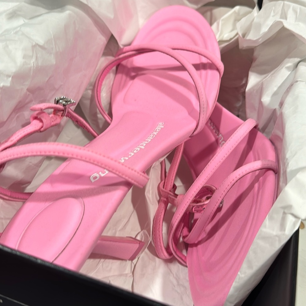 Alexander wang dahila 85 sandal brand new full set